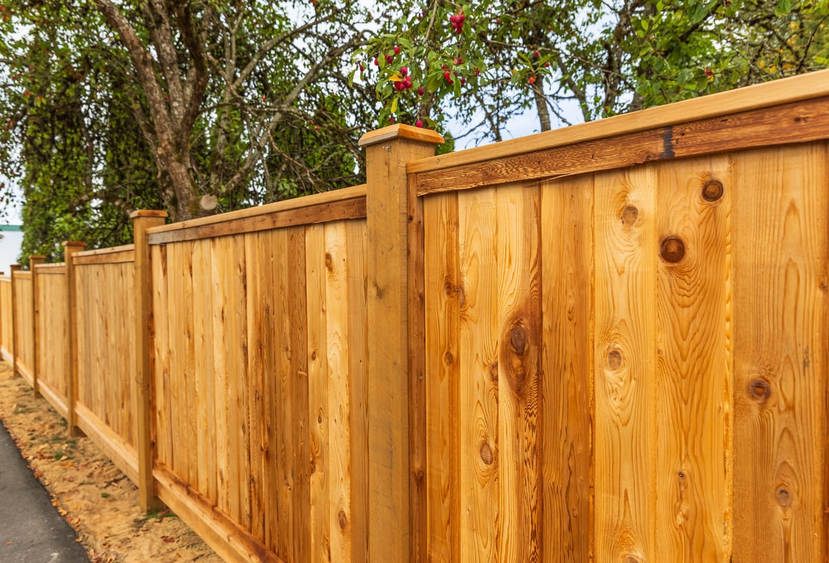 Big new wooden fence around the house and trees. Wooden fence with green trees. Fencing and gates. High quality fence. Street photo