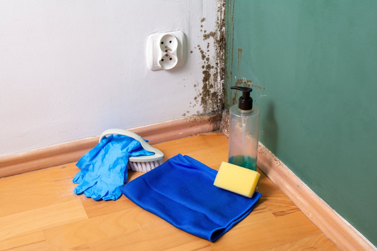A horizontal still life shot of cleaning tools arranged on a wooden floor in front of a mold-infested wall corner. The kit includes blue protective rubber gloves, a blue microfiber cloth, a yellow sponge, a scrubbing brush, and a bottle of detergent. The background shows toxic black mold spreading near a white electrical socket on a white and green wall. Concept of domestic hygiene, DIY home repair, and fungus removal preparation.