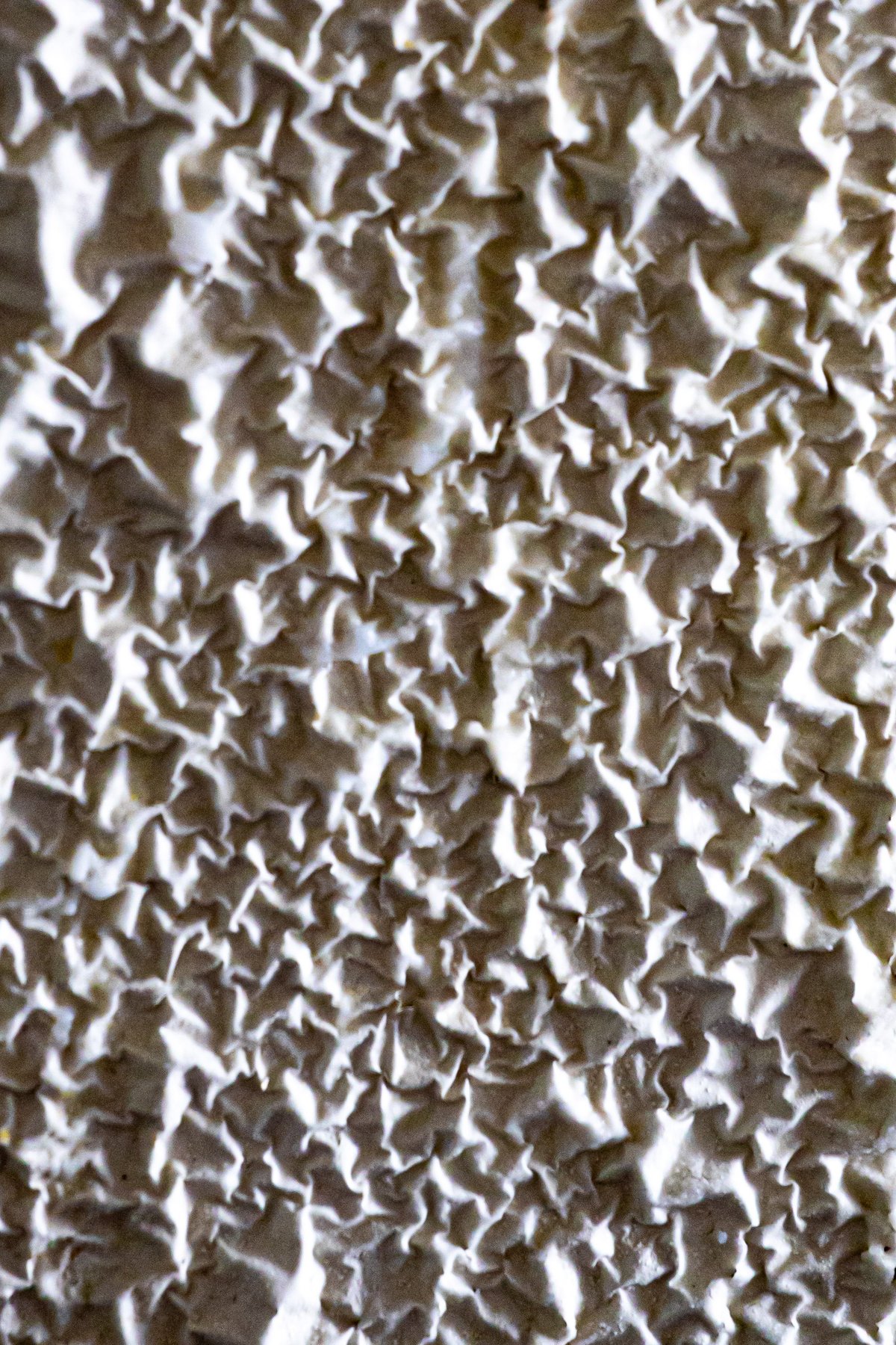Close-up texture of a dated popcorn ceiling surface